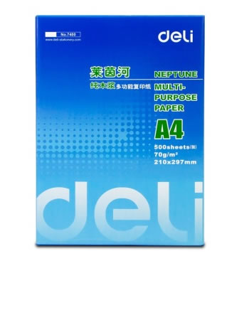 得力(deli)7401 莱茵河70克A4 复印纸